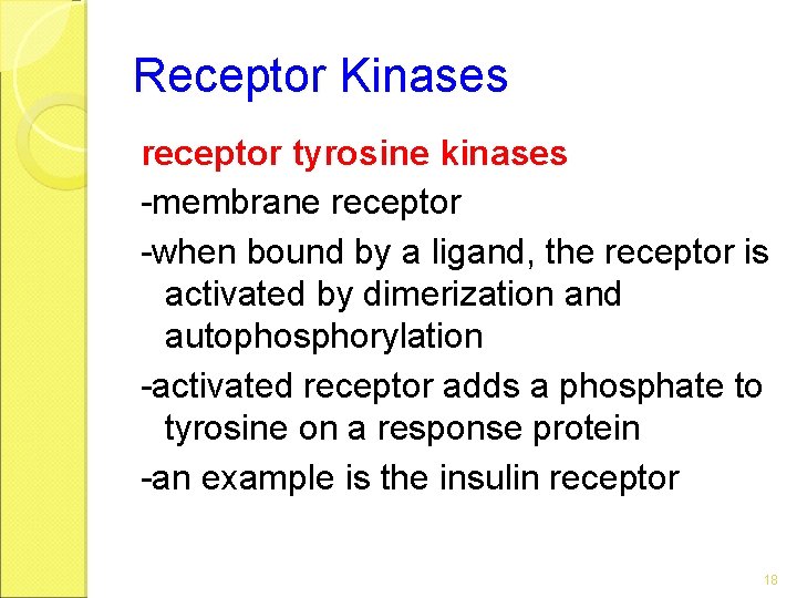 Receptor Kinases receptor tyrosine kinases -membrane receptor -when bound by a ligand, the receptor