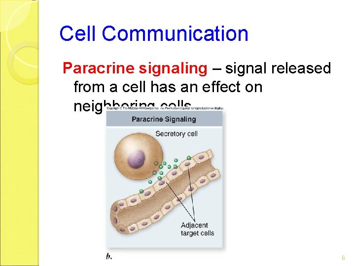 Cell Communication Paracrine signaling – signal released from a cell has an effect on