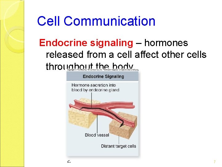 Cell Communication Endocrine signaling – hormones released from a cell affect other cells throughout