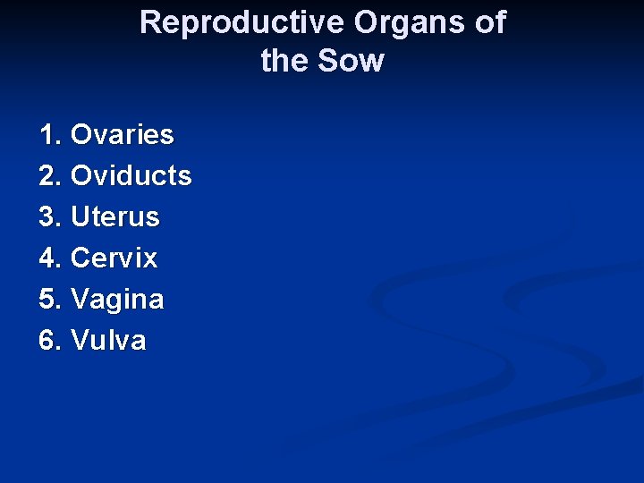 Reproductive Organs of the Sow 1. Ovaries 2. Oviducts 3. Uterus 4. Cervix 5.