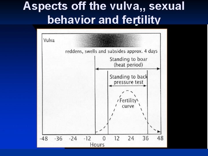 Aspects off the vulva, , sexual behavior and fertility 