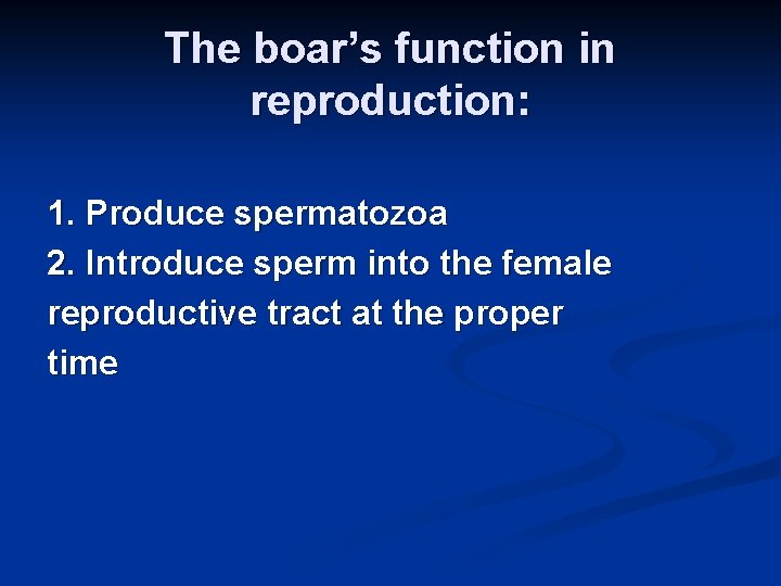 The boar’s function in reproduction: 1. Produce spermatozoa 2. Introduce sperm into the female