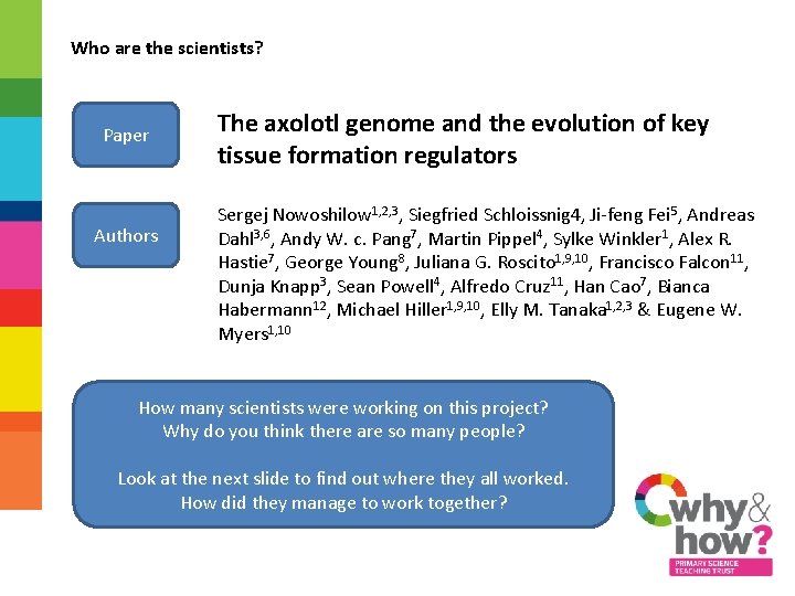 Who are the scientists? Paper Authors The axolotl genome and the evolution of key