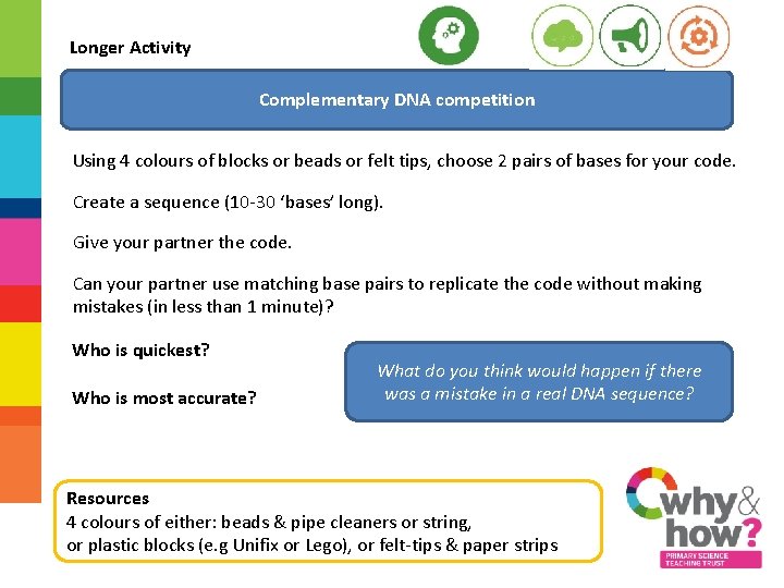 Longer Activity Complementary DNA competition Using 4 colours of blocks or beads or felt