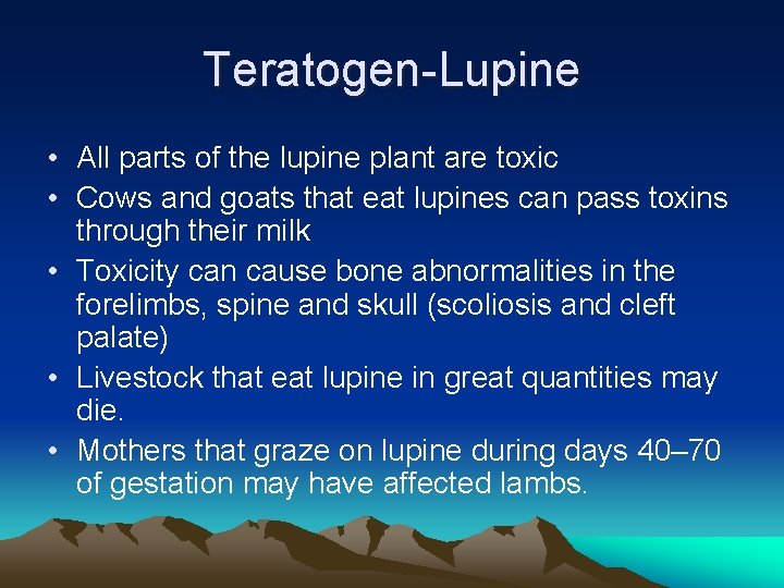 Teratogen-Lupine • All parts of the lupine plant are toxic • Cows and goats