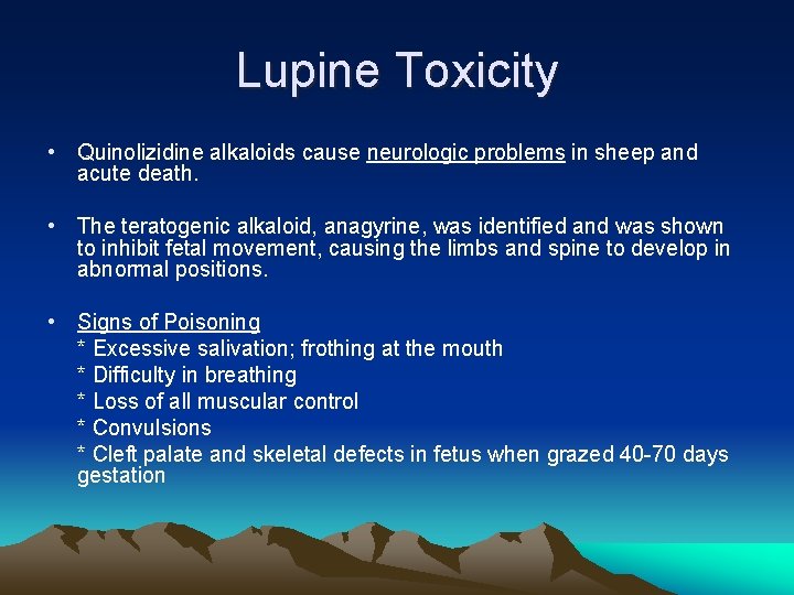 Lupine Toxicity • Quinolizidine alkaloids cause neurologic problems in sheep and acute death. •