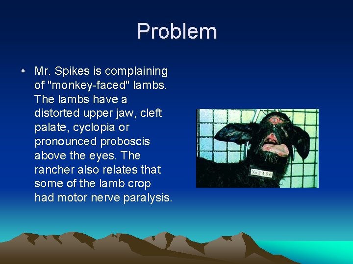 Problem • Mr. Spikes is complaining of "monkey-faced" lambs. The lambs have a distorted