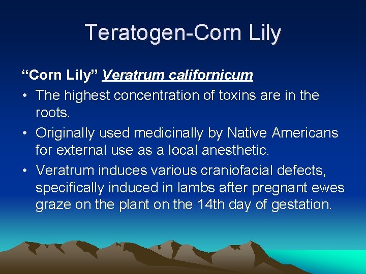 Teratogen-Corn Lily “Corn Lily” Veratrum californicum • The highest concentration of toxins are in