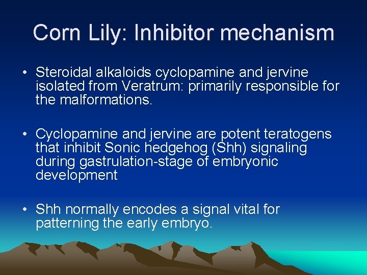 Corn Lily: Inhibitor mechanism • Steroidal alkaloids cyclopamine and jervine isolated from Veratrum: primarily