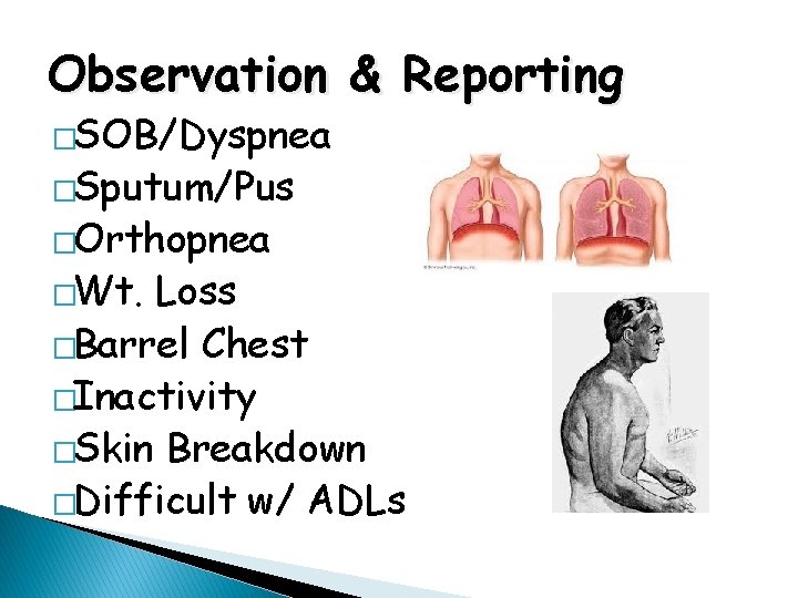 Observation & Reporting �SOB/Dyspnea �Sputum/Pus �Orthopnea �Wt. Loss �Barrel Chest �Inactivity �Skin Breakdown �Difficult