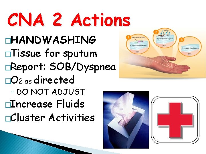 CNA 2 Actions �HANDWASHING �Tissue for sputum �Report: SOB/Dyspnea �O 2 as directed ◦