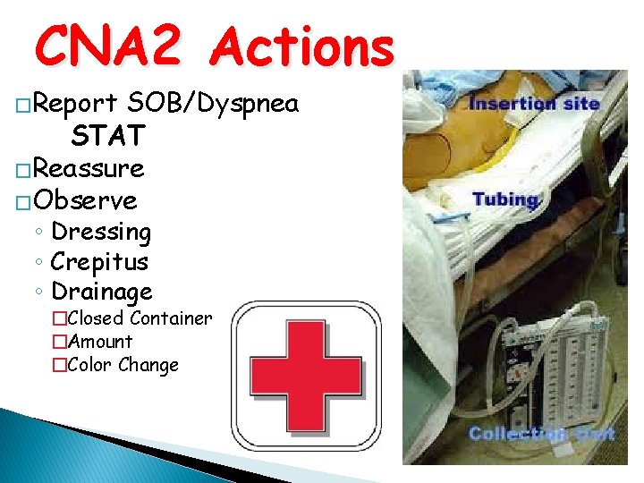 CNA 2 Actions �Report SOB/Dyspnea STAT �Reassure �Observe ◦ Dressing ◦ Crepitus ◦ Drainage