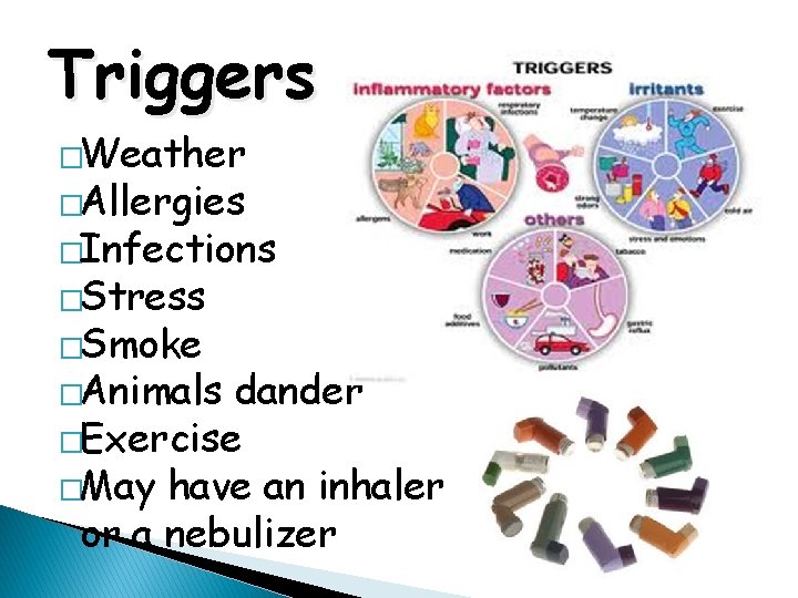 Triggers �Weather �Allergies �Infections �Stress �Smoke �Animals dander �Exercise �May have an inhaler or