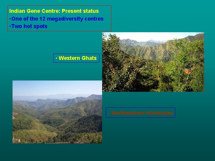 Indian Gene Centre: Present status • One of the 12 megadiversity centres • Two