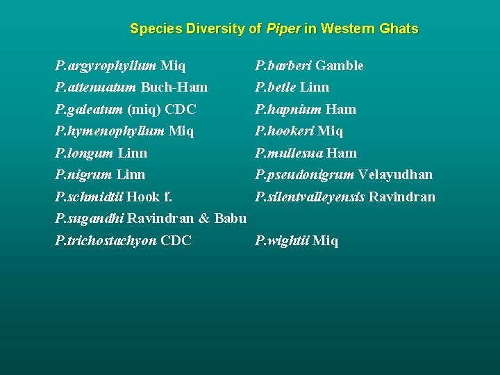 Species Diversity of Piper in Western Ghats P. argyrophyllum Miq P. attenuatum Buch-Ham P.