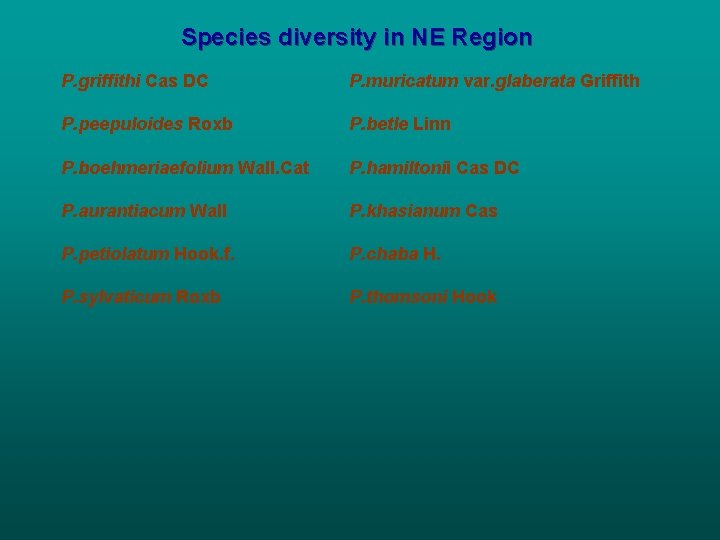 Species diversity in NE Region P. griffithi Cas DC P. muricatum var. glaberata Griffith