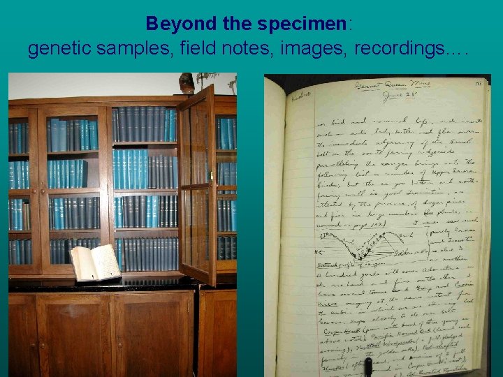 Beyond the specimen: genetic samples, field notes, images, recordings…. 