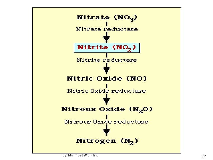 By: Mahmoud W El-Hindi 37 