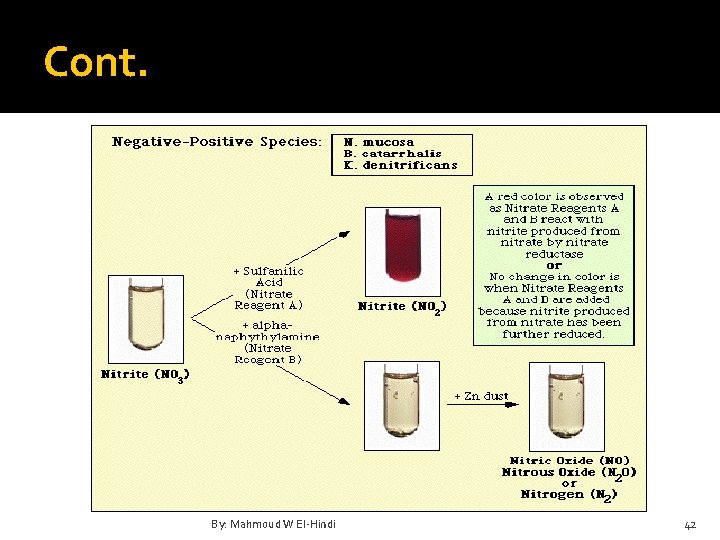 Cont. By: Mahmoud W El-Hindi 42 