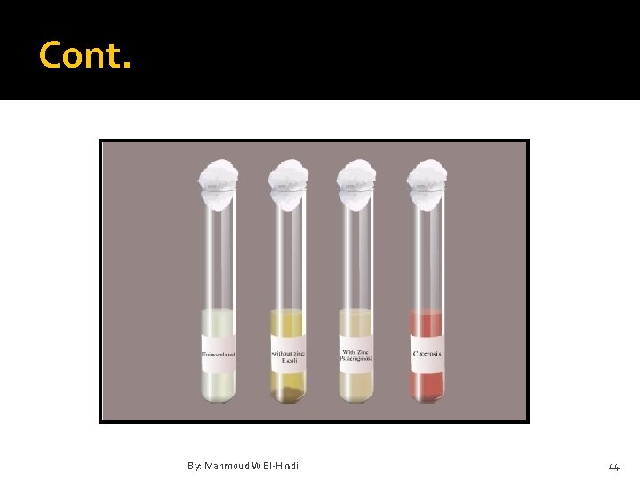 Cont. By: Mahmoud W El-Hindi 44 