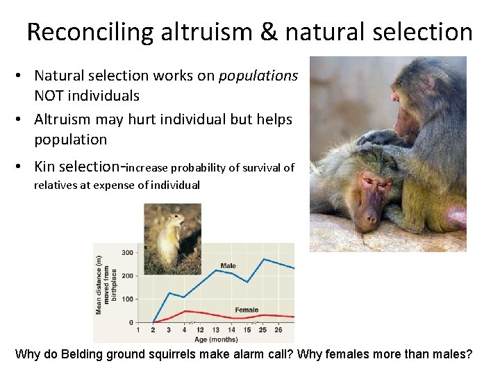 Reconciling altruism & natural selection • Natural selection works on populations NOT individuals •
