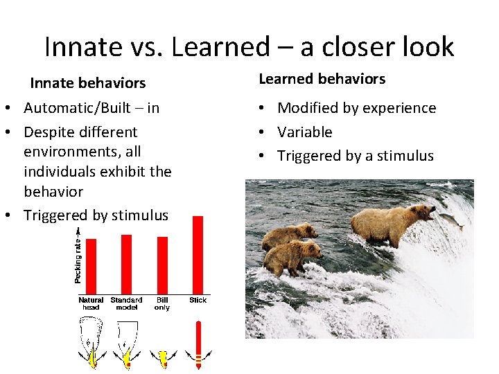 Innate vs. Learned – a closer look Innate behaviors • Automatic/Built – in •
