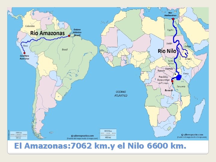 El Amazonas: 7062 km. y el Nilo 6600 km. 