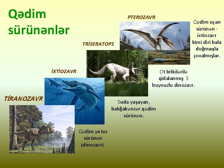 Qədim sürünənlər PTEROZAVR TRİSERATOPS İXTİOZAVR Qədim uçan sürünən ixtiozavr kimi diri bala doğmaqla çoxalmışlar.