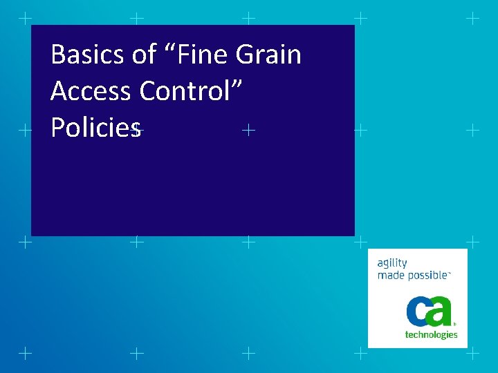 Basics of “Fine Grain Access Control” Policies 