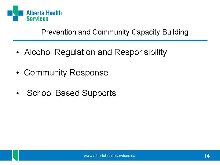 Prevention and Community Capacity Building • Alcohol Regulation and Responsibility • Community Response •