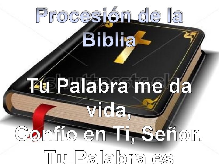 Procesión de la Biblia Tu Palabra me da vida, Confío en Ti, Señor. 