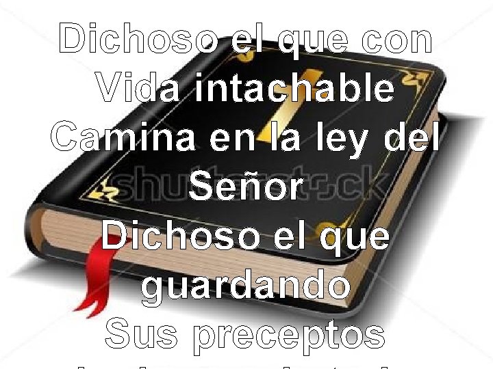 Dichoso el que con Vida intachable Camina en la ley del Señor Dichoso el