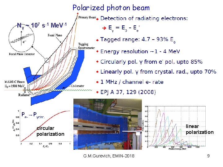 Polarized photon beam Nγ ~ 107 s-1 Me. V-1 linear polarization circular polarization G.