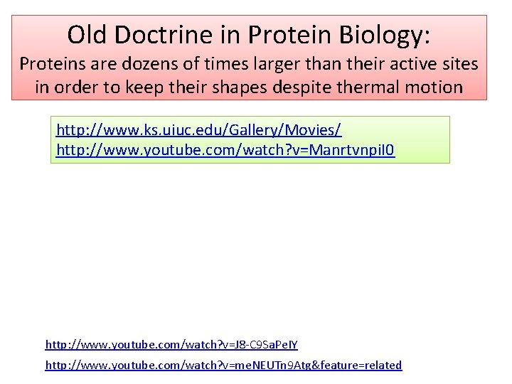 Old Doctrine in Protein Biology: Proteins are dozens of times larger than their active