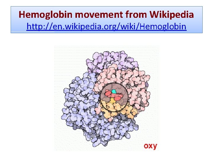 Hemoglobin movement from Wikipedia http: //en. wikipedia. org/wiki/Hemoglobin 