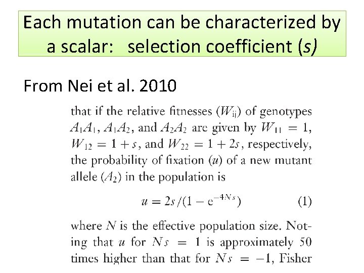 Each mutation can be characterized by a scalar: selection coefficient (s) From Nei et
