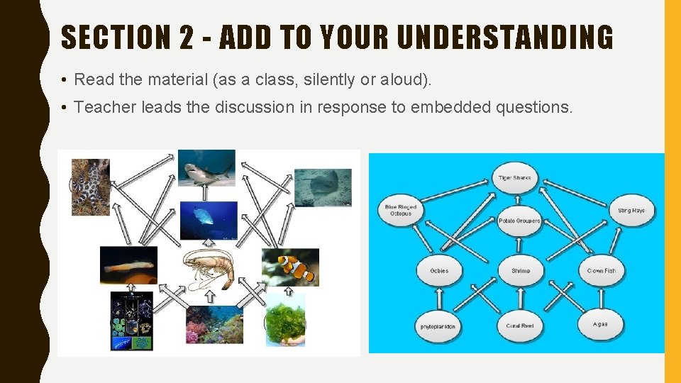 SECTION 2 - ADD TO YOUR UNDERSTANDING • Read the material (as a class,