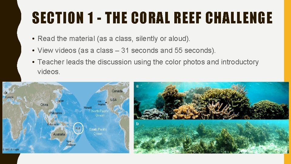 SECTION 1 - THE CORAL REEF CHALLENGE • Read the material (as a class,