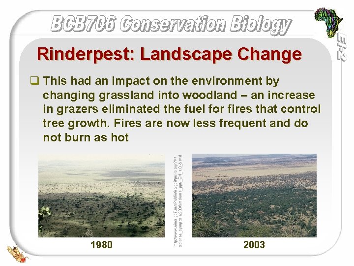 Rinderpest: Landscape Change 1980 http: //www. circa. gbif. net/Public/irc/gbif/pr/library? !=/ science_symposia/2006/mduma_ppt/_EN_1. 0_&a=d q This