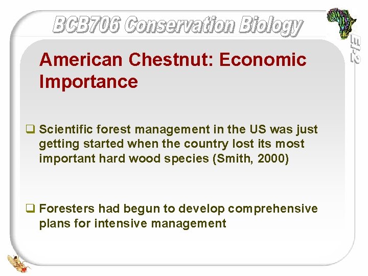 American Chestnut: Economic Importance q Scientific forest management in the US was just getting