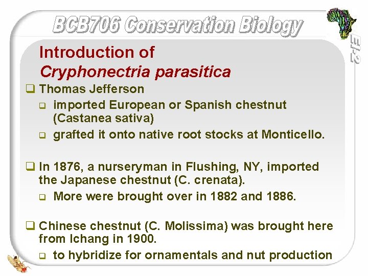 Introduction of Cryphonectria parasitica q Thomas Jefferson q imported European or Spanish chestnut (Castanea