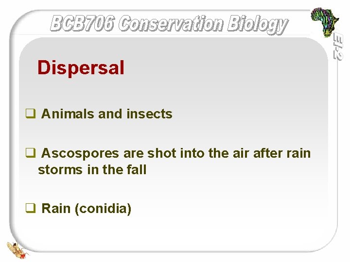 Dispersal q Animals and insects q Ascospores are shot into the air after rain