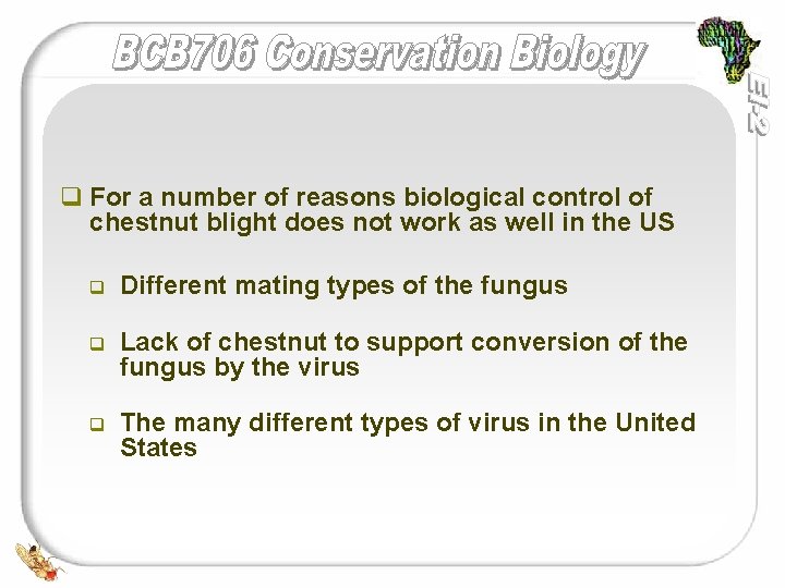 q For a number of reasons biological control of chestnut blight does not work