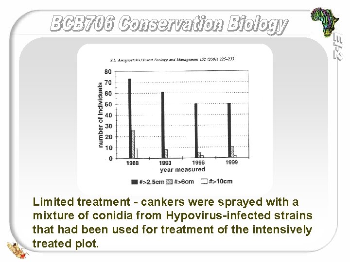 Graph of Numbers of Living Stems of American Chestnuts with Limited Treatment Limited treatment