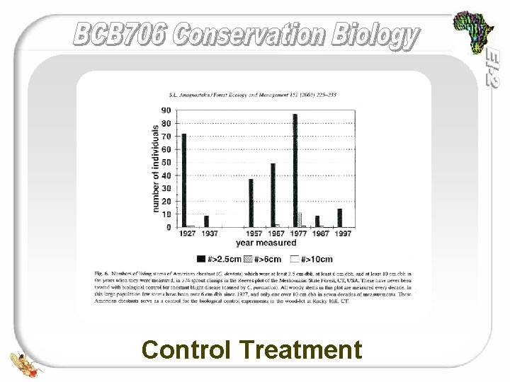 Graph of Numbers of Living Stems of American Chestnuts with the Control Treatment 
