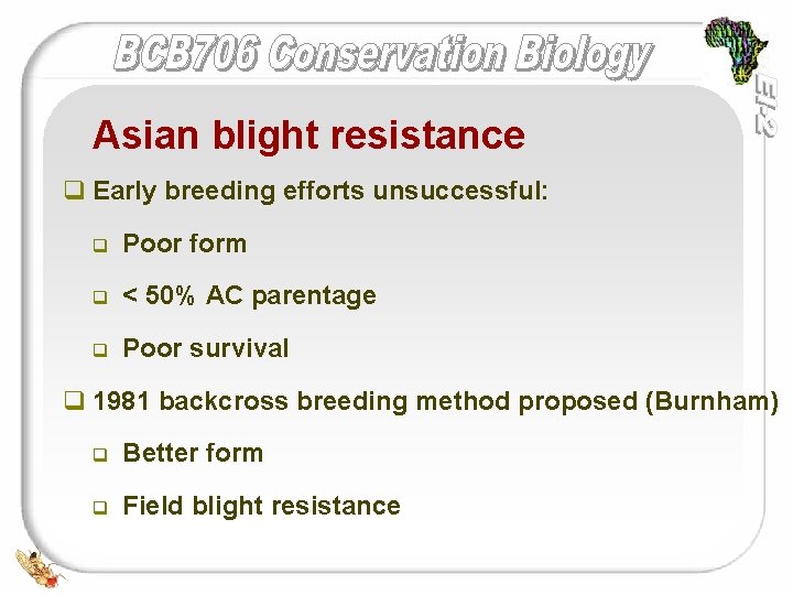 Asian blight resistance q Early breeding efforts unsuccessful: q Poor form q < 50%