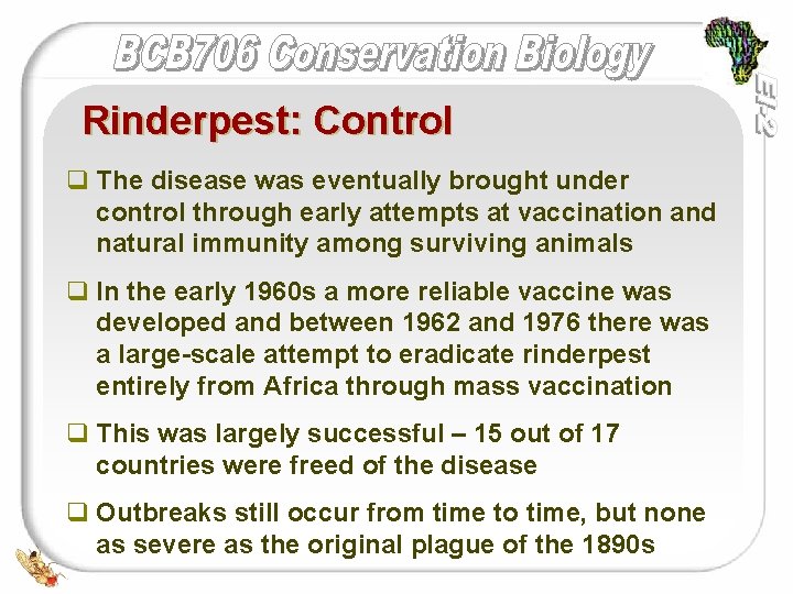 Rinderpest: Control q The disease was eventually brought under control through early attempts at