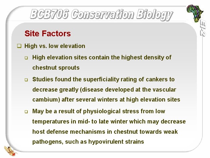 Site Factors q High vs. low elevation q High elevation sites contain the highest