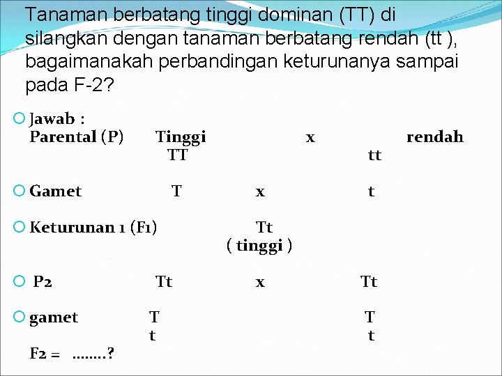 Tanaman berbatang tinggi dominan (TT) di silangkan dengan tanaman berbatang rendah (tt ), bagaimanakah