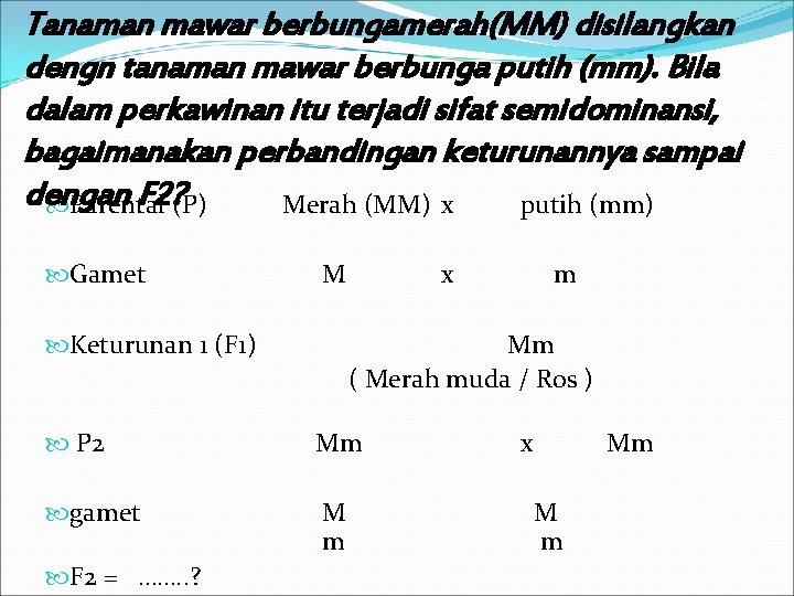 Tanaman mawar berbungamerah(MM) disilangkan dengn tanaman mawar berbunga putih (mm). Bila dalam perkawinan itu